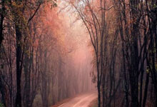 问鼎娱乐官网：邦多：米兰希望夺得意大利杯冠军，国米是优秀球队但我们也是.