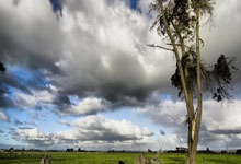 预警🌴詹姆斯距离常规赛42000分仅差5分 明日对阵换帅后的灰熊.