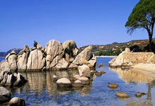 120万朵雪花、飘带状冰道……快来看亚冬会开幕式主会场央视新闻客户端.